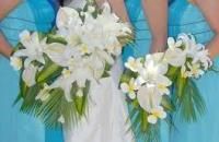 √√√ Palasposi Atelier (S.N.C.) (Altavilla Vicentina) - Abitosposa.net